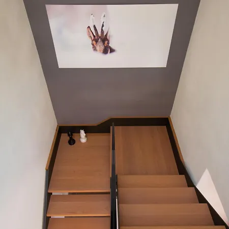 Appartamento Vicino Palladiana La Rotonda! Duplex *